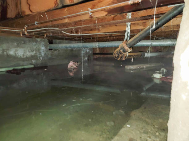Best Water damage restoration services  in Glen Lyon, PA