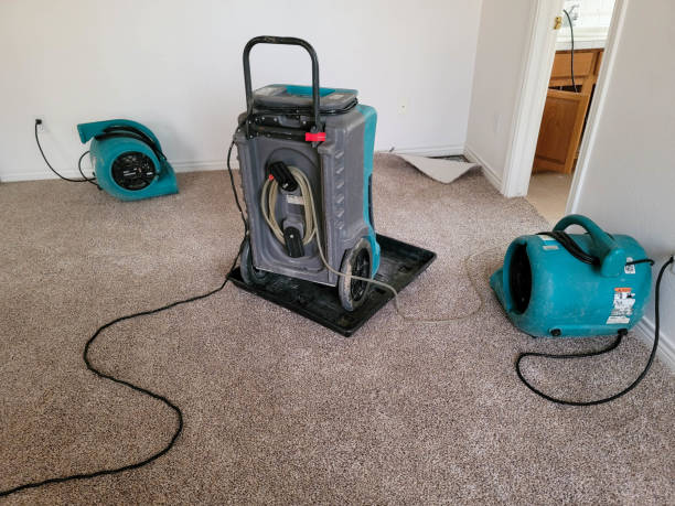 Best Water damage restoration near me  in Glen Lyon, PA