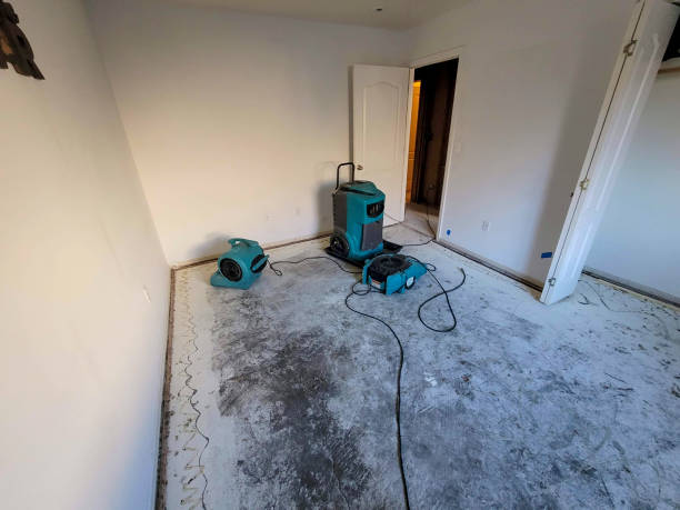 Best Emergency water damage restoration  in Glen Lyon, PA