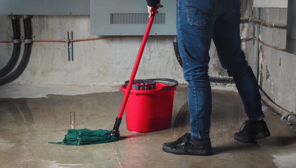 Best Fire Damage Restoration  in Glen Lyon, PA