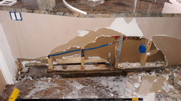 Best Water damage restoration mold remediation  in Glen Lyon, PA