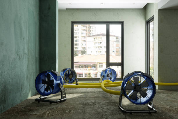 Best Mold removal after water damage  in Glen Lyon, PA